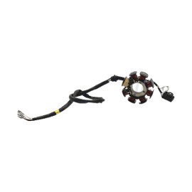 Estator completo AT110 / AT110RT Italika