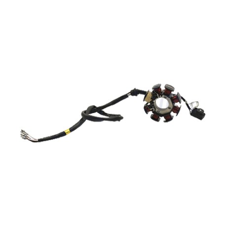Estator completo AT110 / AT110RT Italika