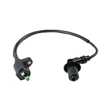 Bobina de encendido para motocicleta DS150 WS150 SPORT BIT150
