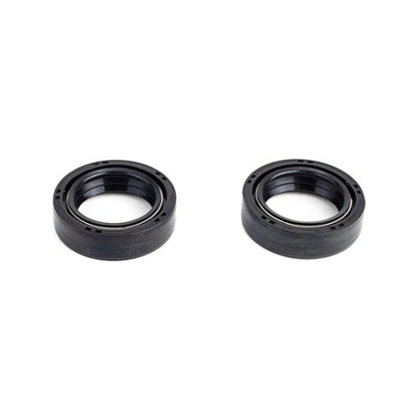 Retenes de suspension para motocicleta FT125 Cargo 125