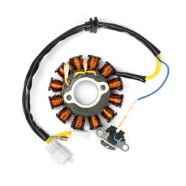 Estator para motocicleta GTS175 TRN150 DS150G WS150 SPORT