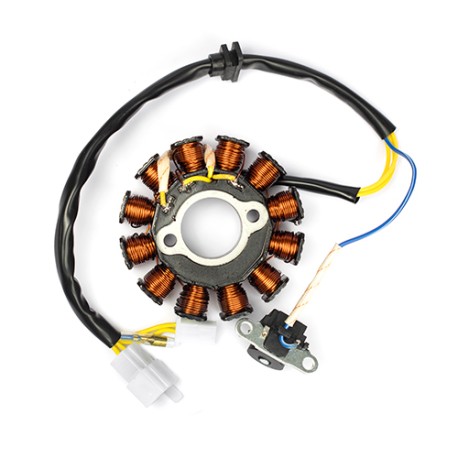 Estator para motocicleta GTS175 TRN150 DS150G WS150 SPORT