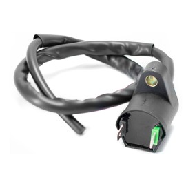 Bobina de encendido para motocicleta DS150 WS150 SPORT BIT150