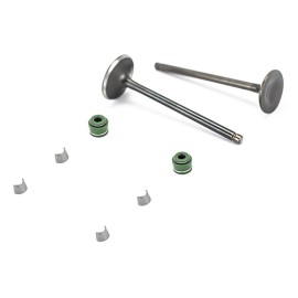 Juego valvulas admisión/escape EX200/RT200 Kinlley