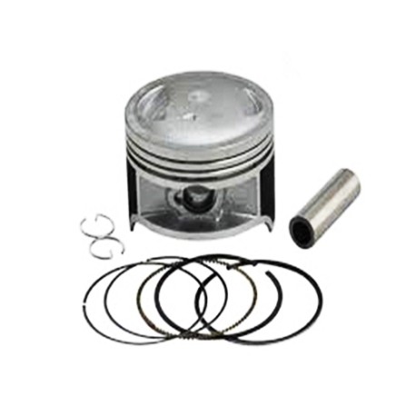 Piston con Anillos Axis90 Xenon Triton Zip 51.