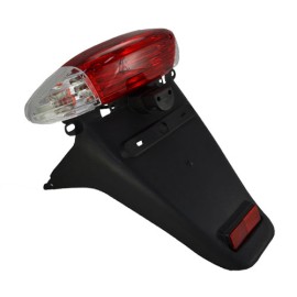Calavera trasera completa para motocicleta DS125 DS150