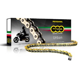 Cadena para motocicleta 428 x126 STD 126 EB-Oro /016 Regina