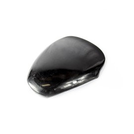 Salpicadera delantera para motocicleta Rally