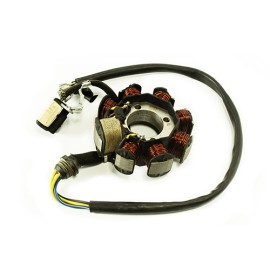 Estator completo Workman 150R